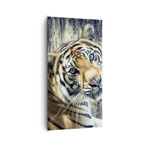 Canvas picture - Portrait in Rays of Light - 65x120 cm