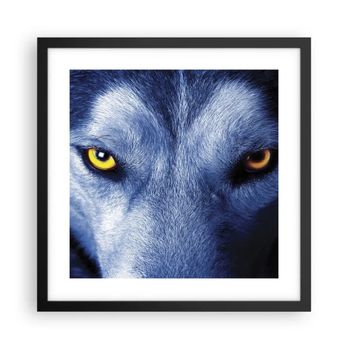 Poster in black frame - Mesmerising Look - 40x40 cm