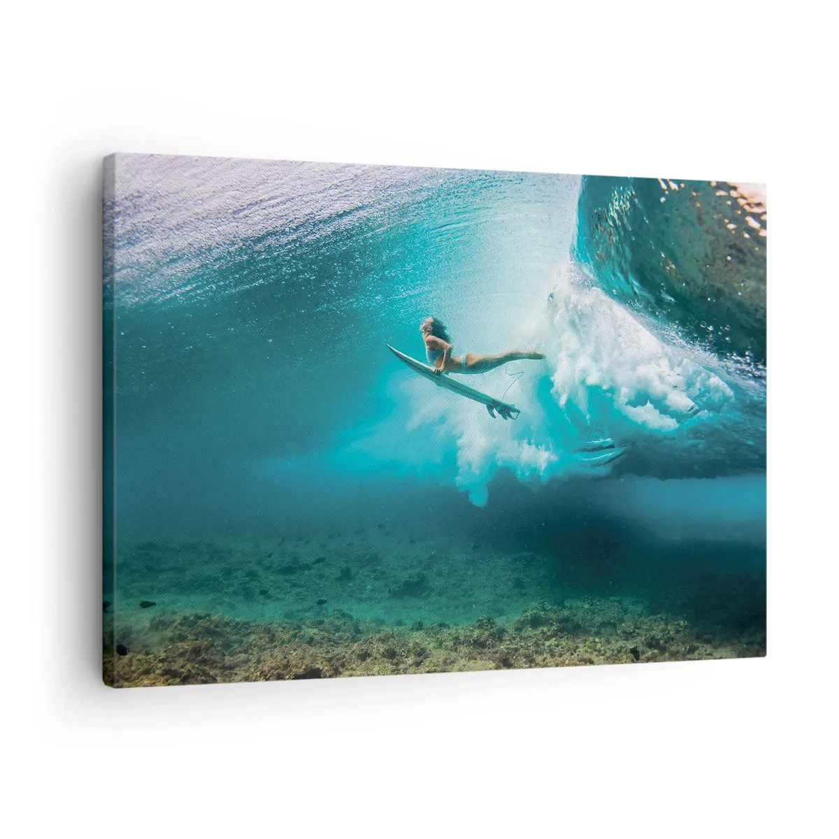 Canvas picture - Undewater World - 70x50 cm