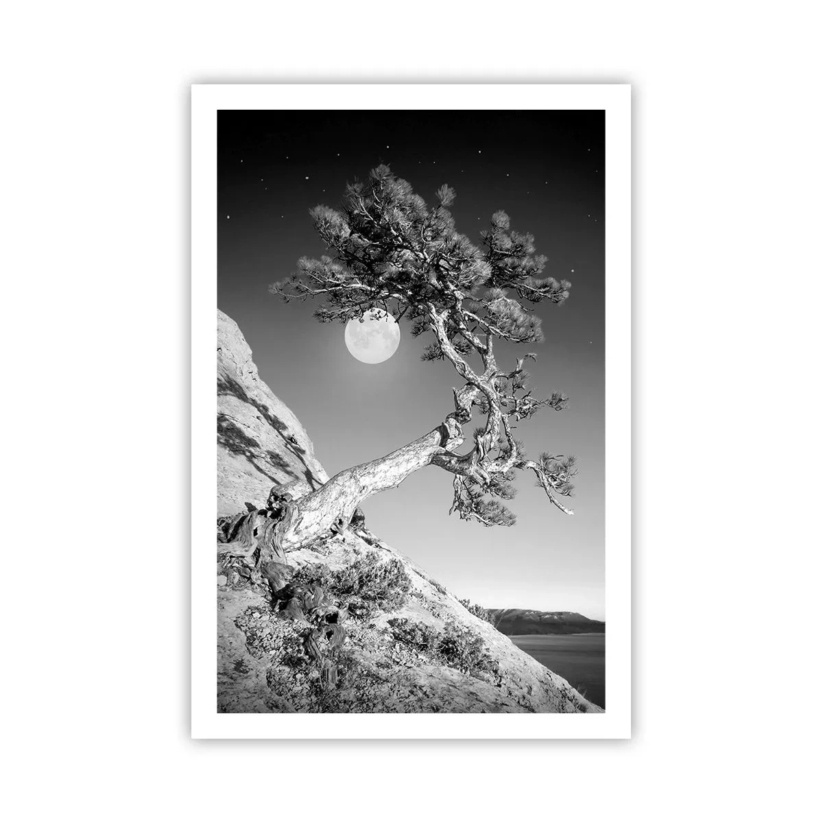 Poster - Winning Warrior - 61x91 cm