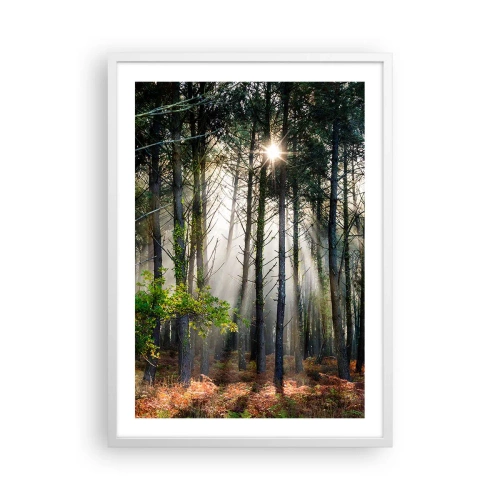 Poster in white frmae - Woodland Area - 50x70 cm