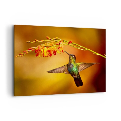 Canvas picture - Messenger of Light according to the Mayans - 100x70 cm