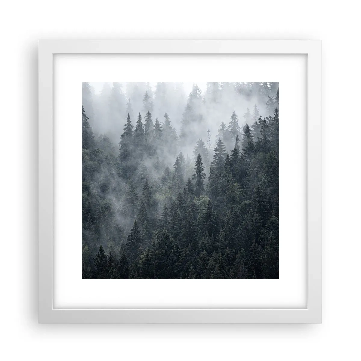 Poster in white frmae - Forest World - 30x30 cm