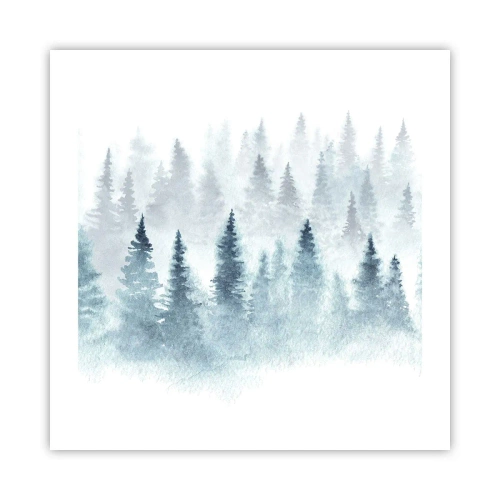 Poster - Wrapped up in a Fog - 50x50 cm
