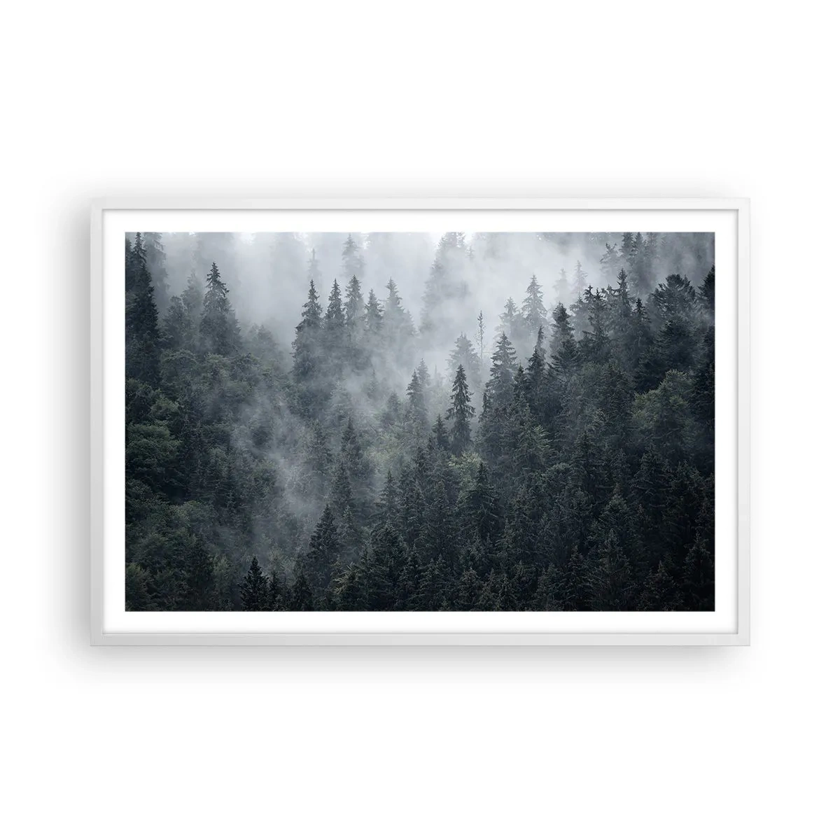 Poster in white frmae - Forest World - 91x61 cm