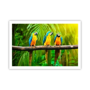 Poster - Did You Hear that She…? - 91x61 cm