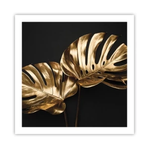 Poster - Tresaures of Nature - 60x60 cm