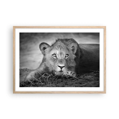 Poster in light oak frame - Royal Puppy - 70x50 cm