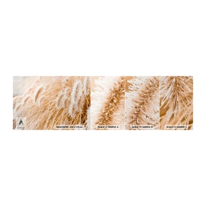 Photo Wallpaper Sample Self-Adhesive Deluxe Sticker - Golden Rustling of Grass - Pampas Grass, Meadow, Nature - 100x30 cm