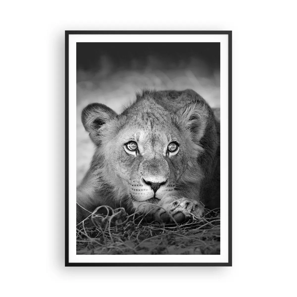 Poster in black frame - Royal Puppy - 70x100 cm