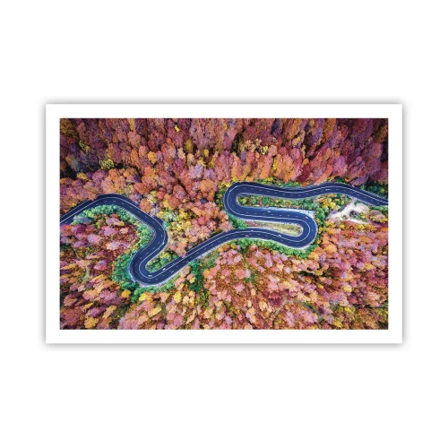 Poster - Winding Path through a Forest - 91x61 cm
