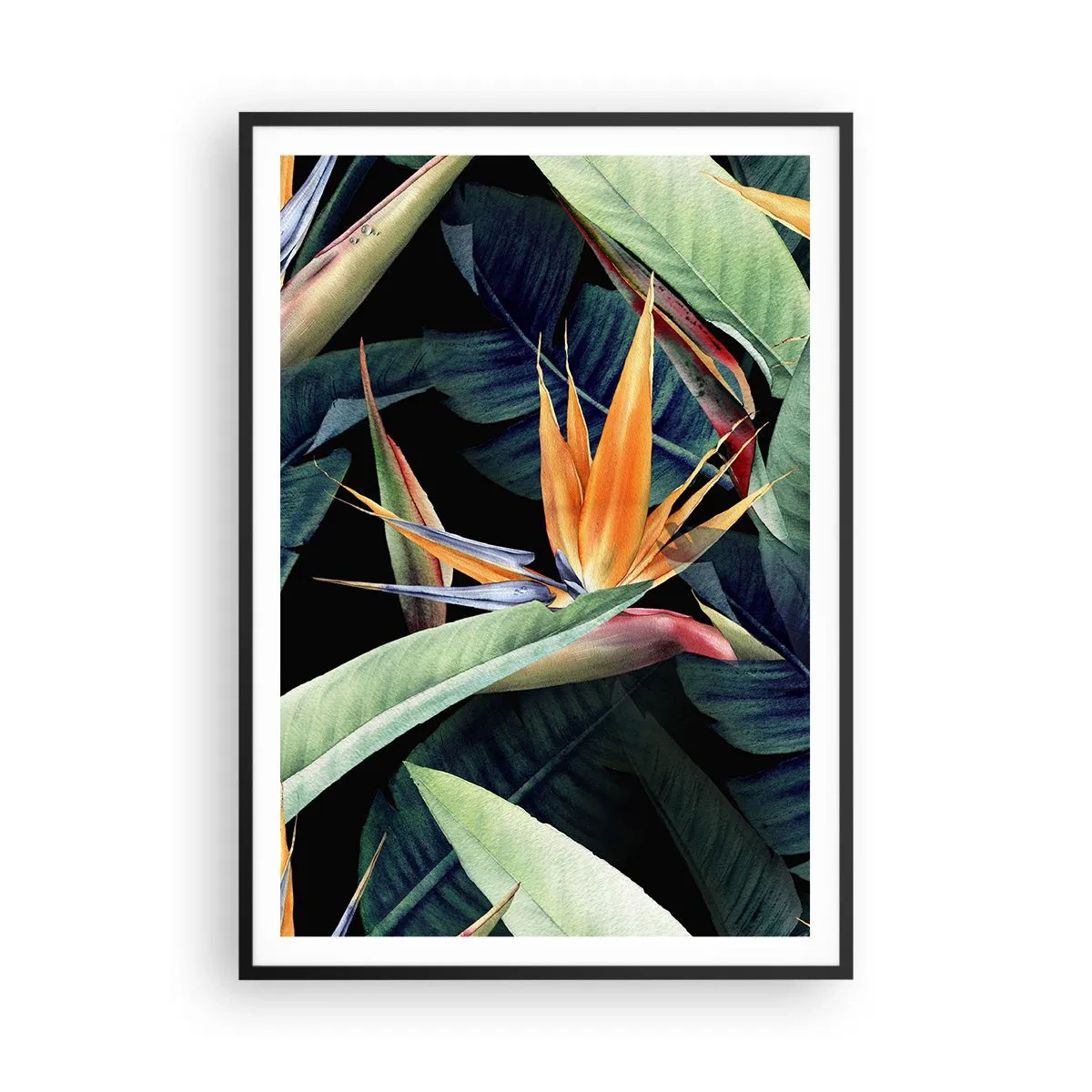 Poster in black frame - Flaming Flowers of the Tropics - 70x100 cm