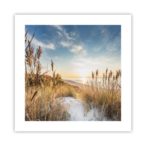 Poster - Northern Beach - 40x40 cm