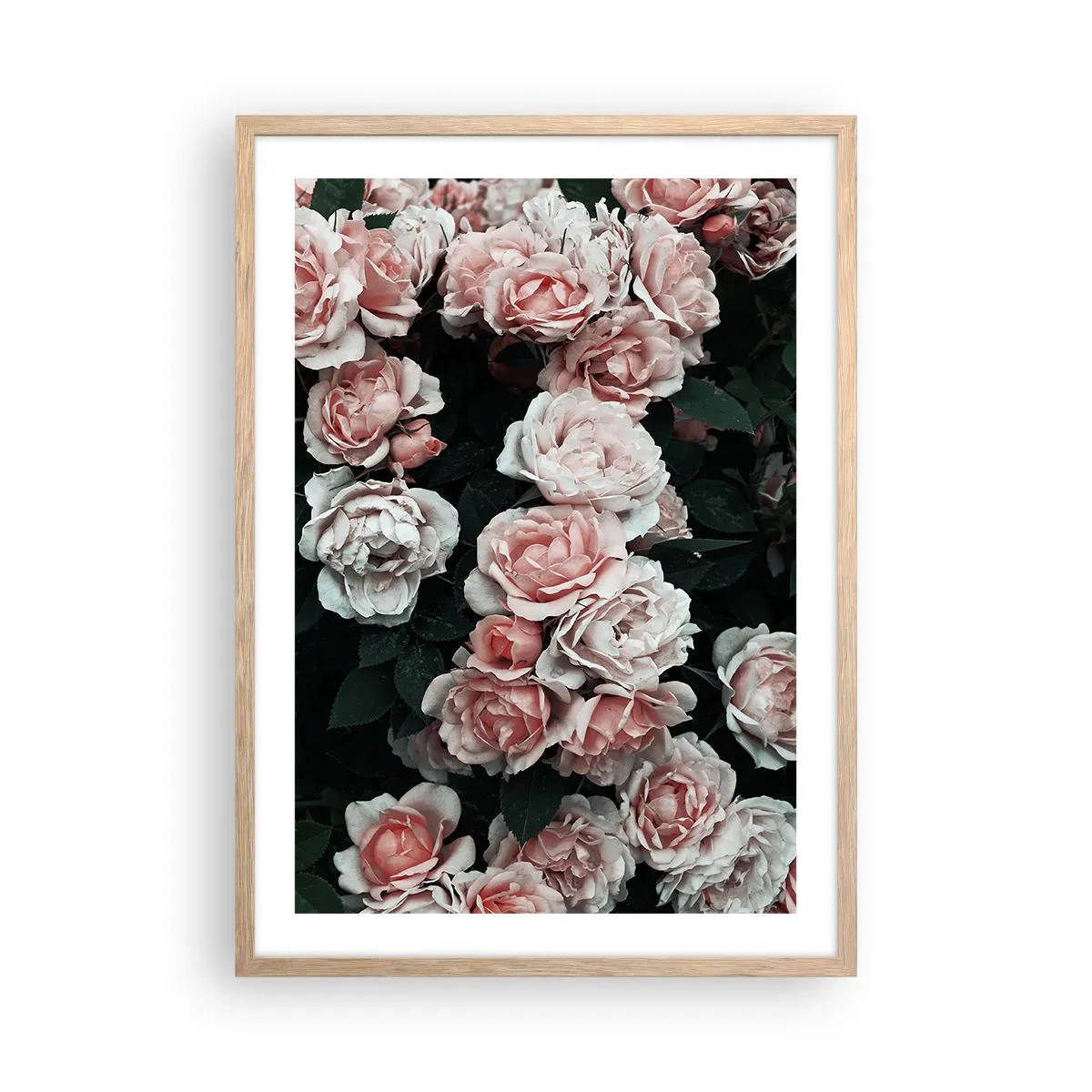 Poster in light oak frame - Rose Ensemble - 50x70 cm