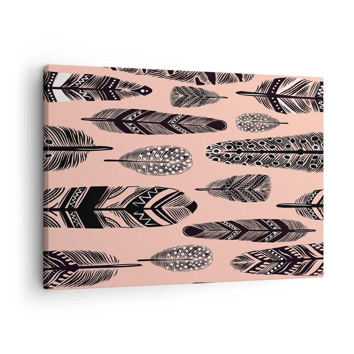 Canvas picture - Decorative feathers on a light background - 70x50cm - Indian Collection - Modern wall decoration for the living room and bedroom ARTTOR
