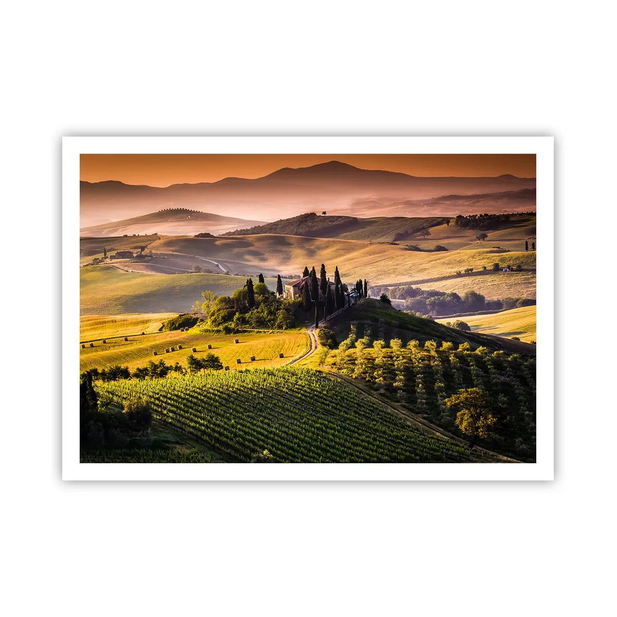Poster - Arcadia - Tuscan Landscape - 100x70 cm
