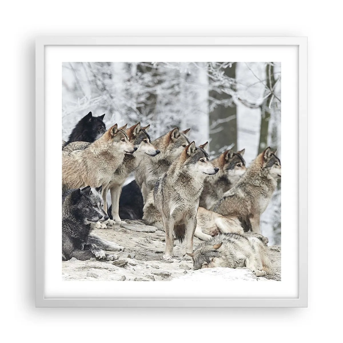 Poster in white frmae - Family and Friends - 50x50 cm