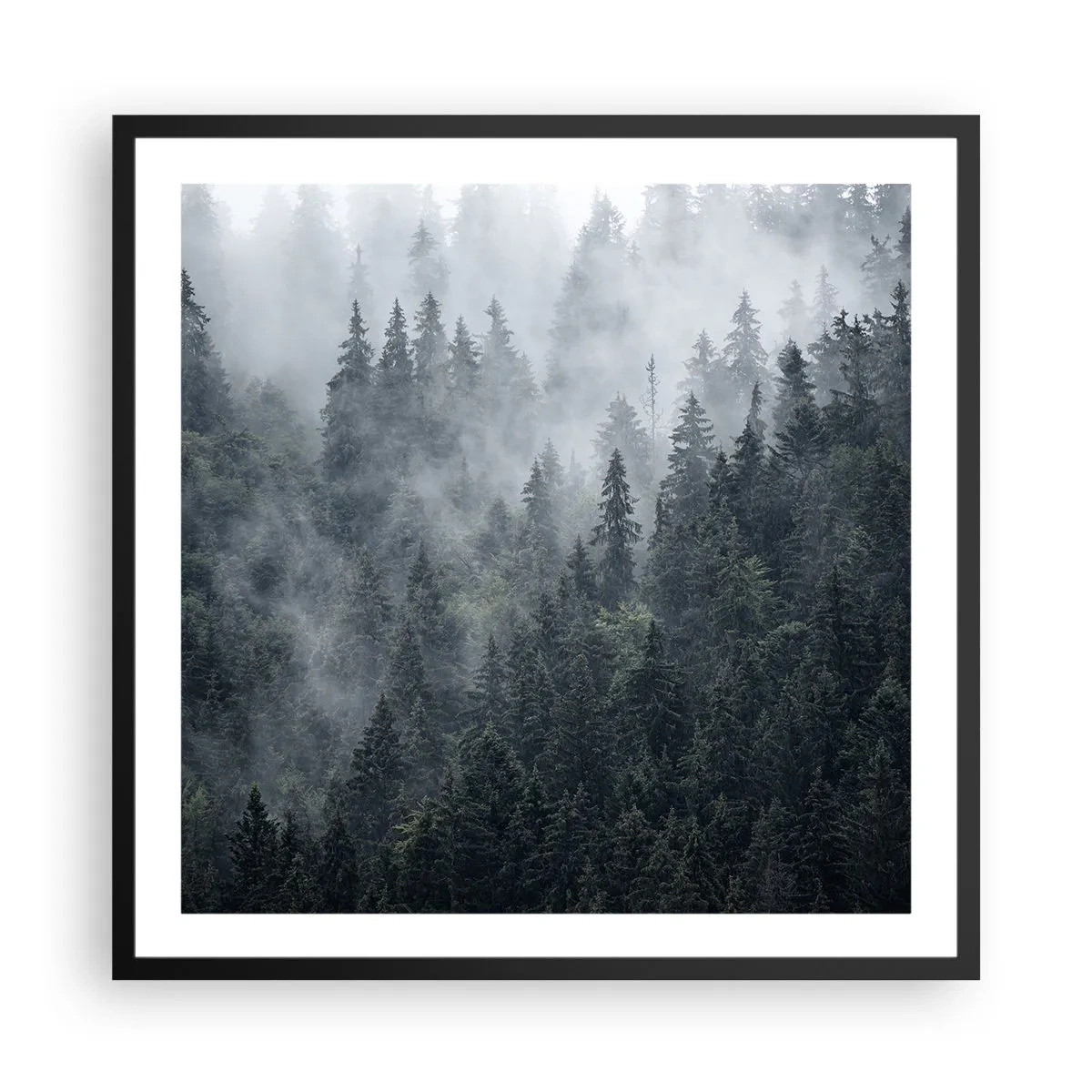 Poster in black frame - Forest World - 60x60 cm
