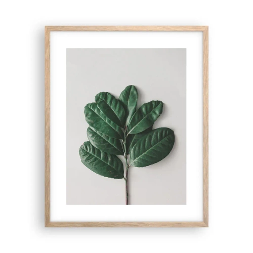 Poster in light oak frame - Drawing of Nature Itself - 40x50 cm