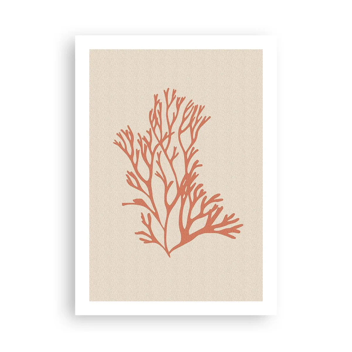 Poster - Coral Filigree - 50x70 cm