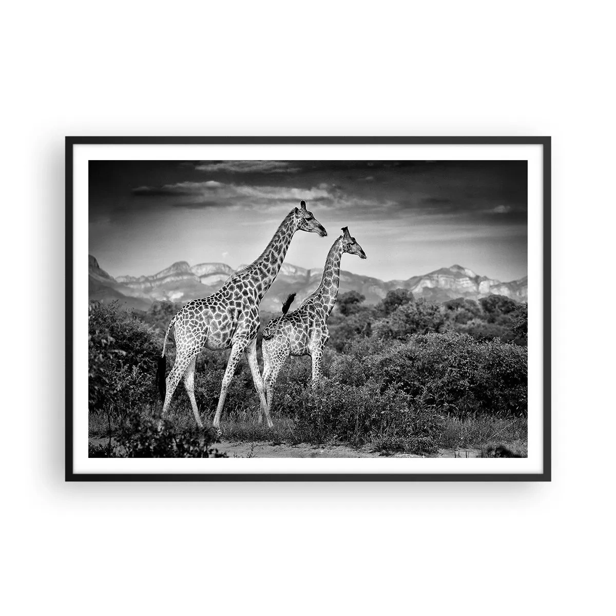 Poster in black frame - Higher Spheres in Africa - 100x70 cm