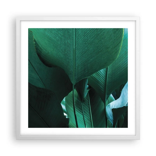 Poster in white frmae - Turned towards Light - 50x50 cm