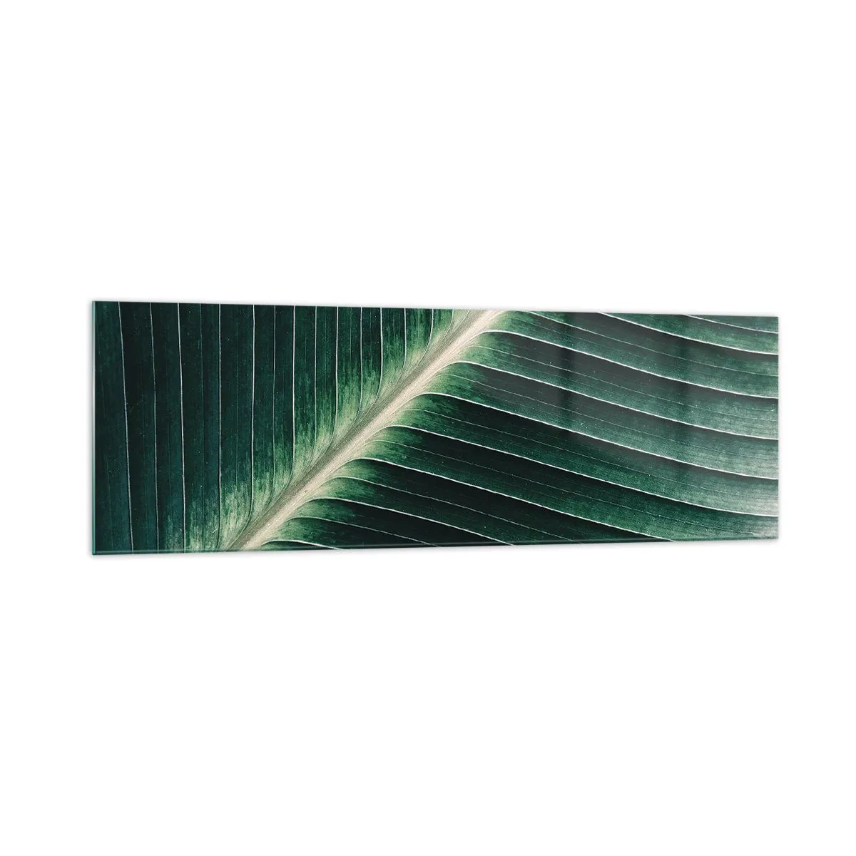 Glass picture - Rhythm of Nature - 160x50 cm