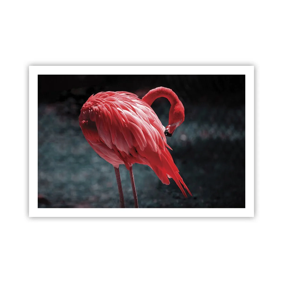 Poster - Crimson Poem of Nature - 91x61 cm