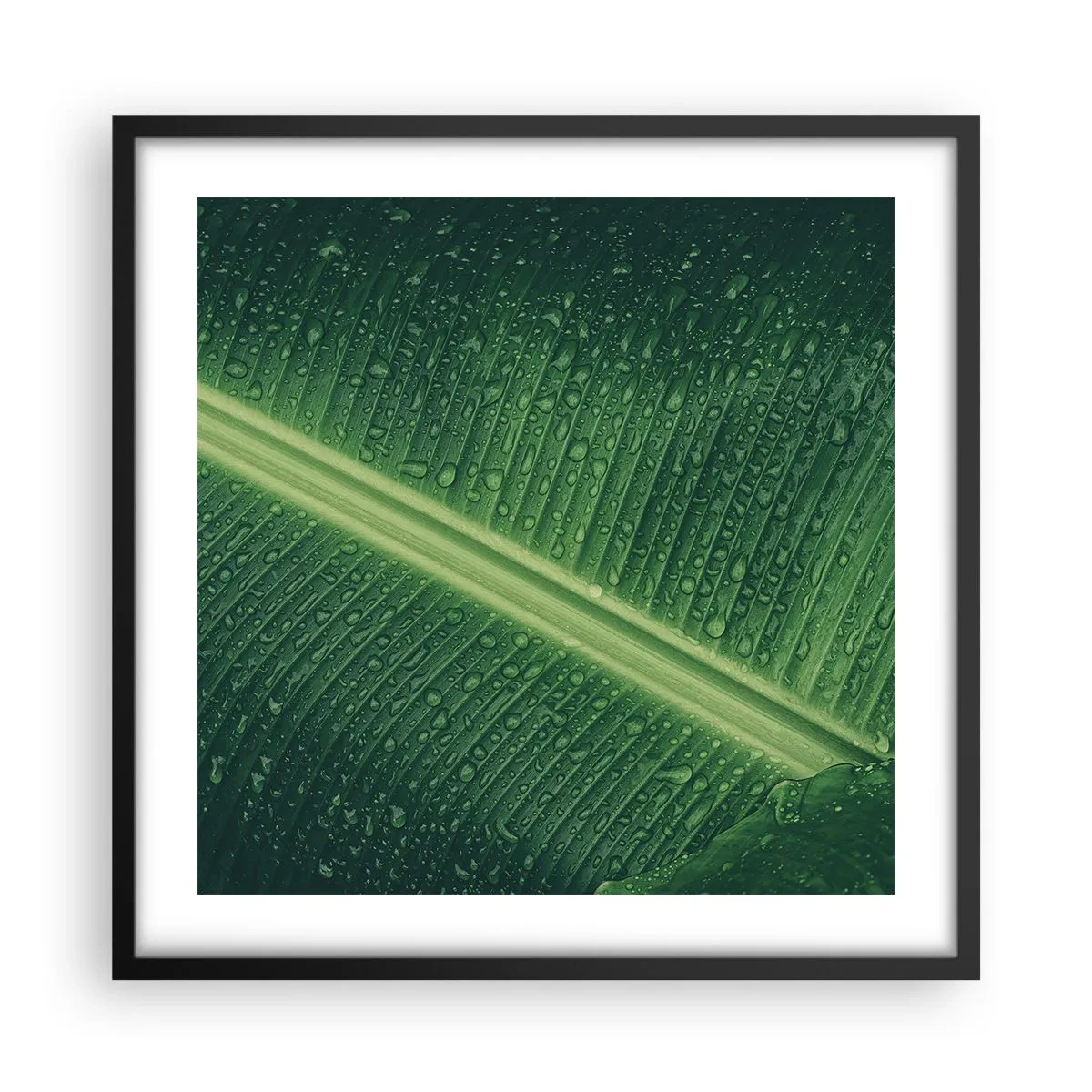 Poster in black frame - Structure of Green - 50x50 cm