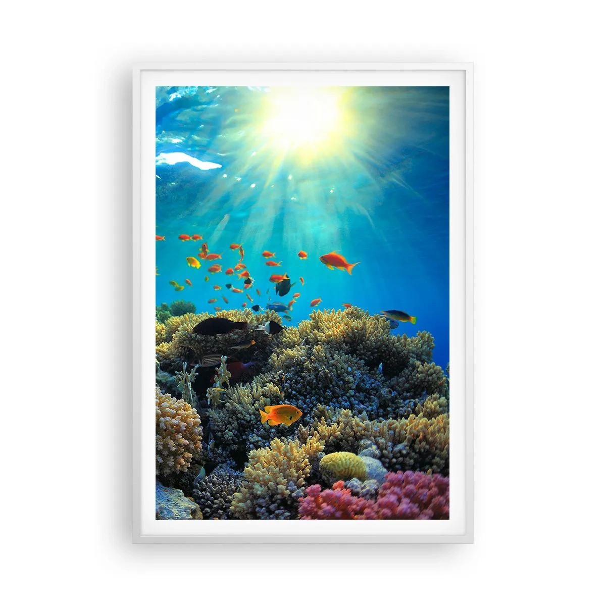 Poster in white frmae - Underwater Treasures - 70x100 cm