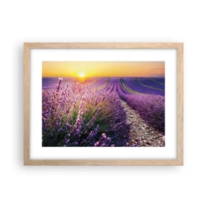 Poster in light oak frame - Fragrant Field - 40x30 cm