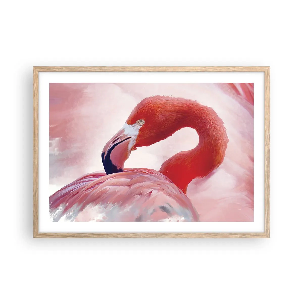Poster in light oak frame - Bird Look - 70x50 cm
