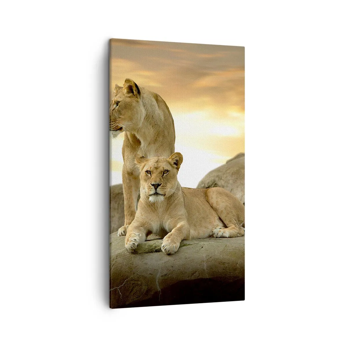 Canvas picture - Royal Majesty - 45x80 cm