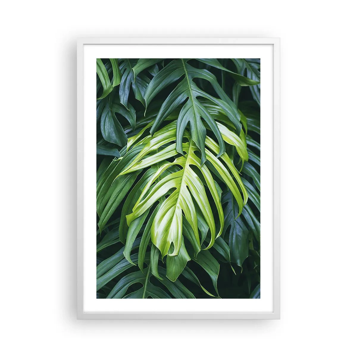 Poster in white frmae - Immerse Yourself in Freshness - 50x70 cm