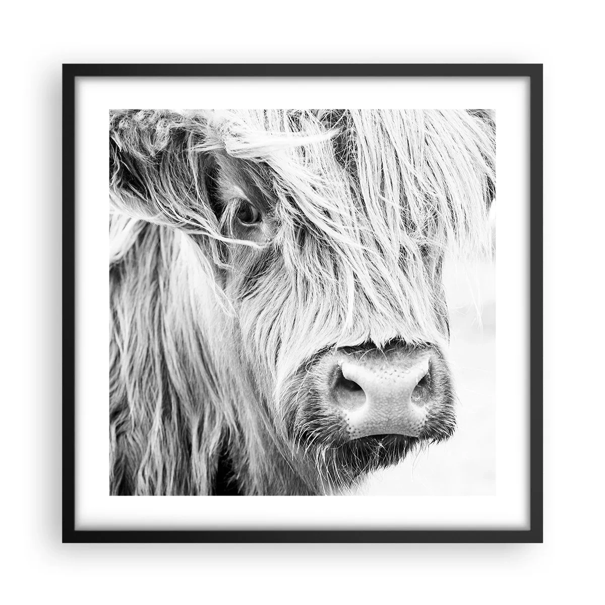 Poster in black frame - Scottish Wilderness - 50x50 cm