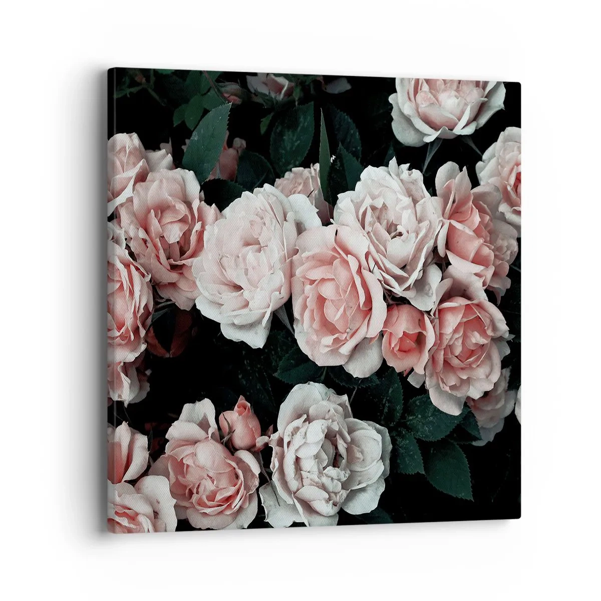 Canvas picture - Rose Ensemble - 40x40 cm