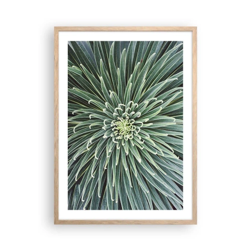 Poster in light oak frame - Birth of a Star - 50x70 cm