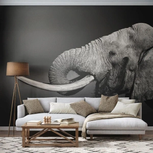 Custom Wallpaper Premium Sand - Yes, That's Right - Animals, Elephant, Africa
