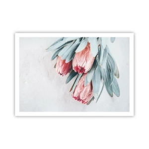 Poster - Ashamed of Their Own Beauty - 100x70 cm