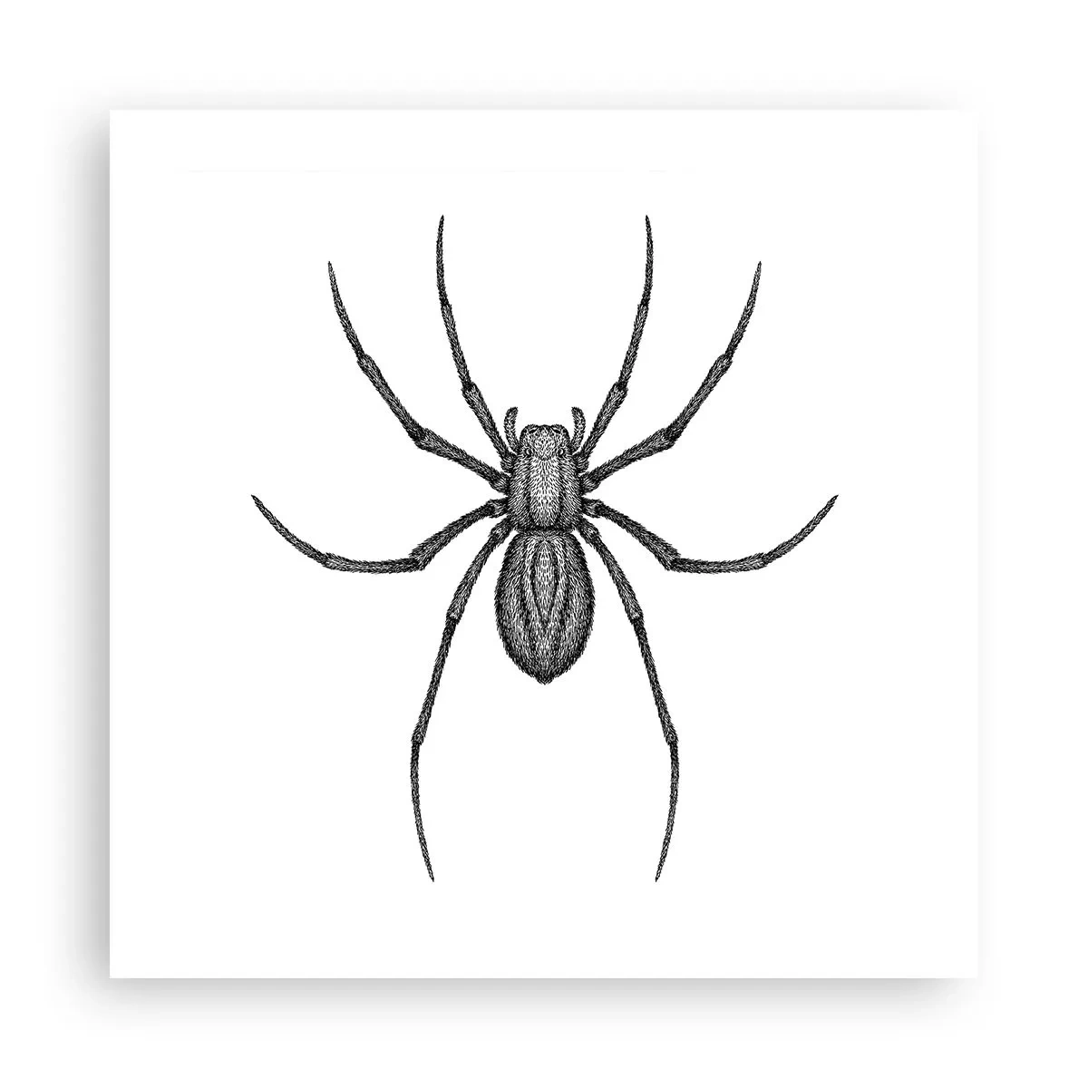 Poster - Disturbing Precision - 50x50 cm