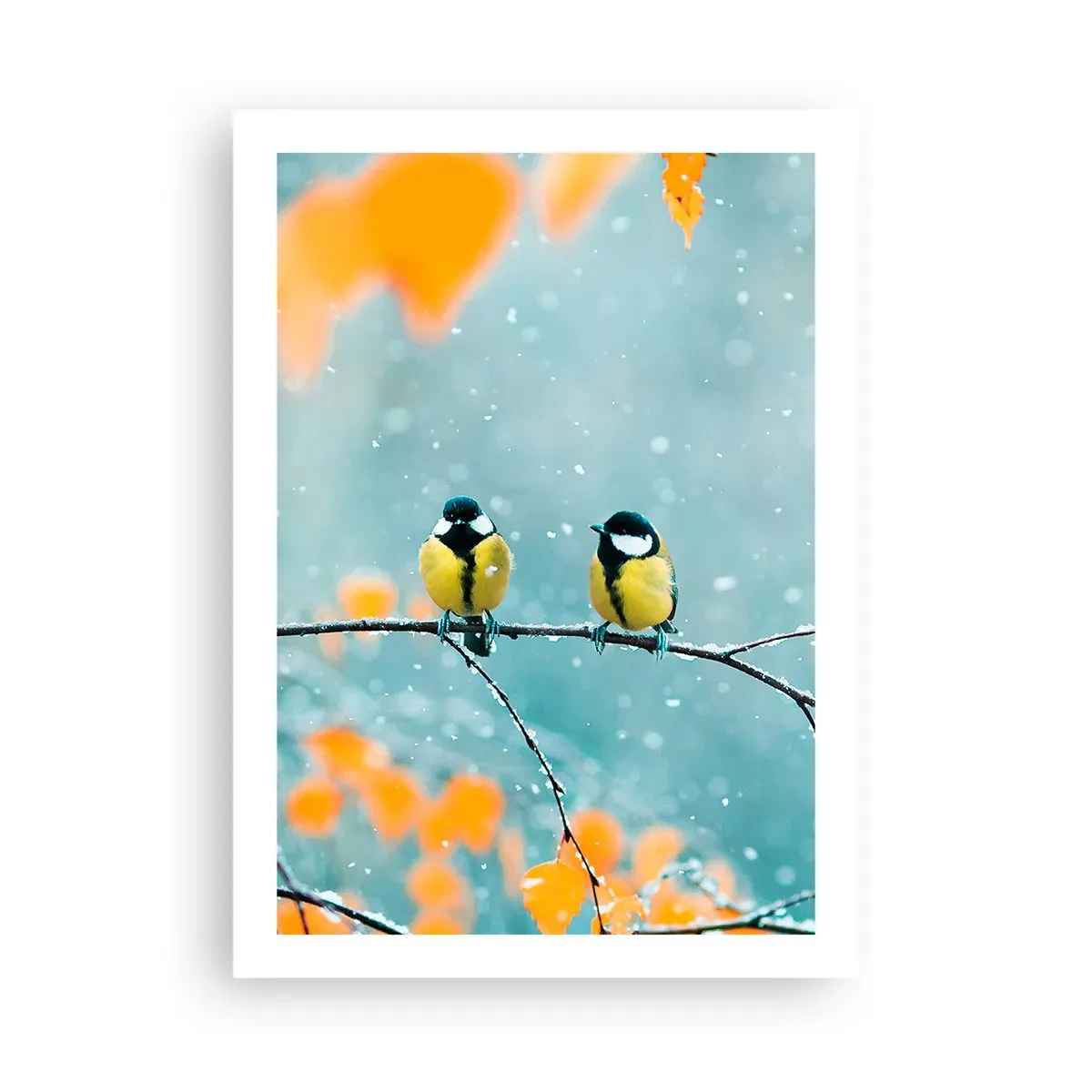 Poster - Birdy Gossip - 50x70 cm