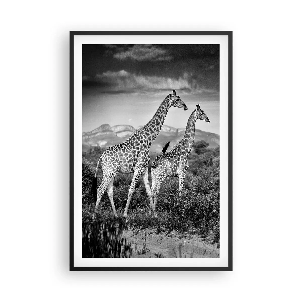 Poster in black frame - Higher Spheres in Africa - 61x91 cm