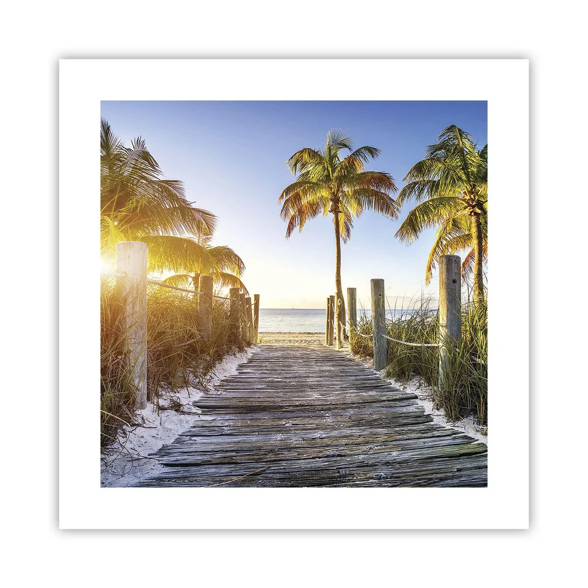 Poster - Straight to Paradise - 40x40 cm