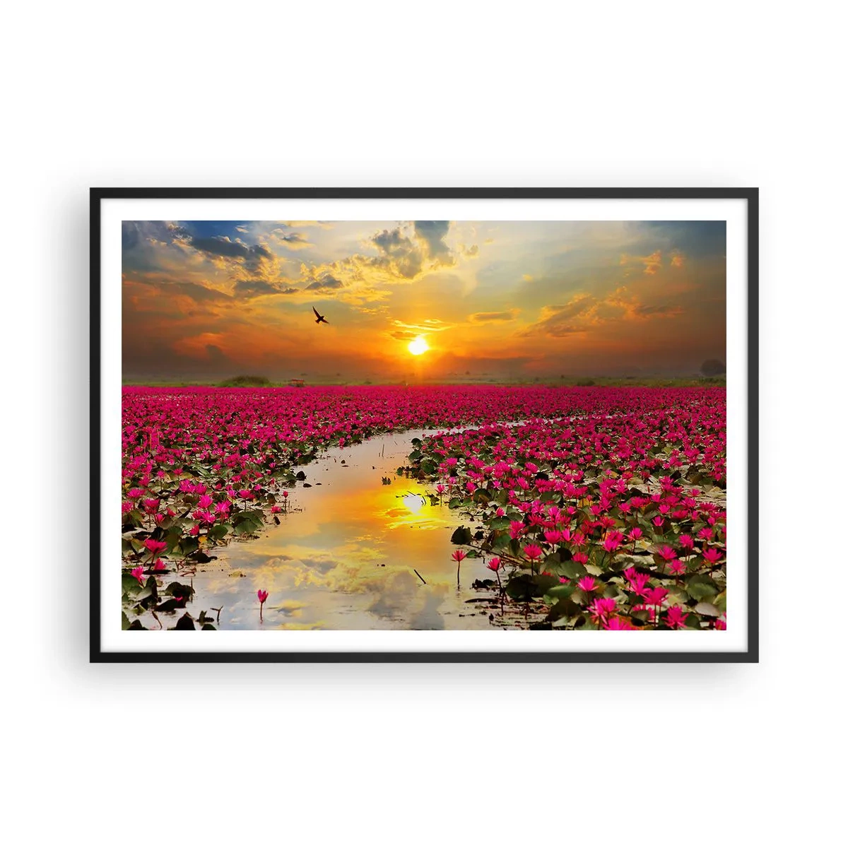 Poster in black frame - Secret Life of a Lake - 100x70 cm