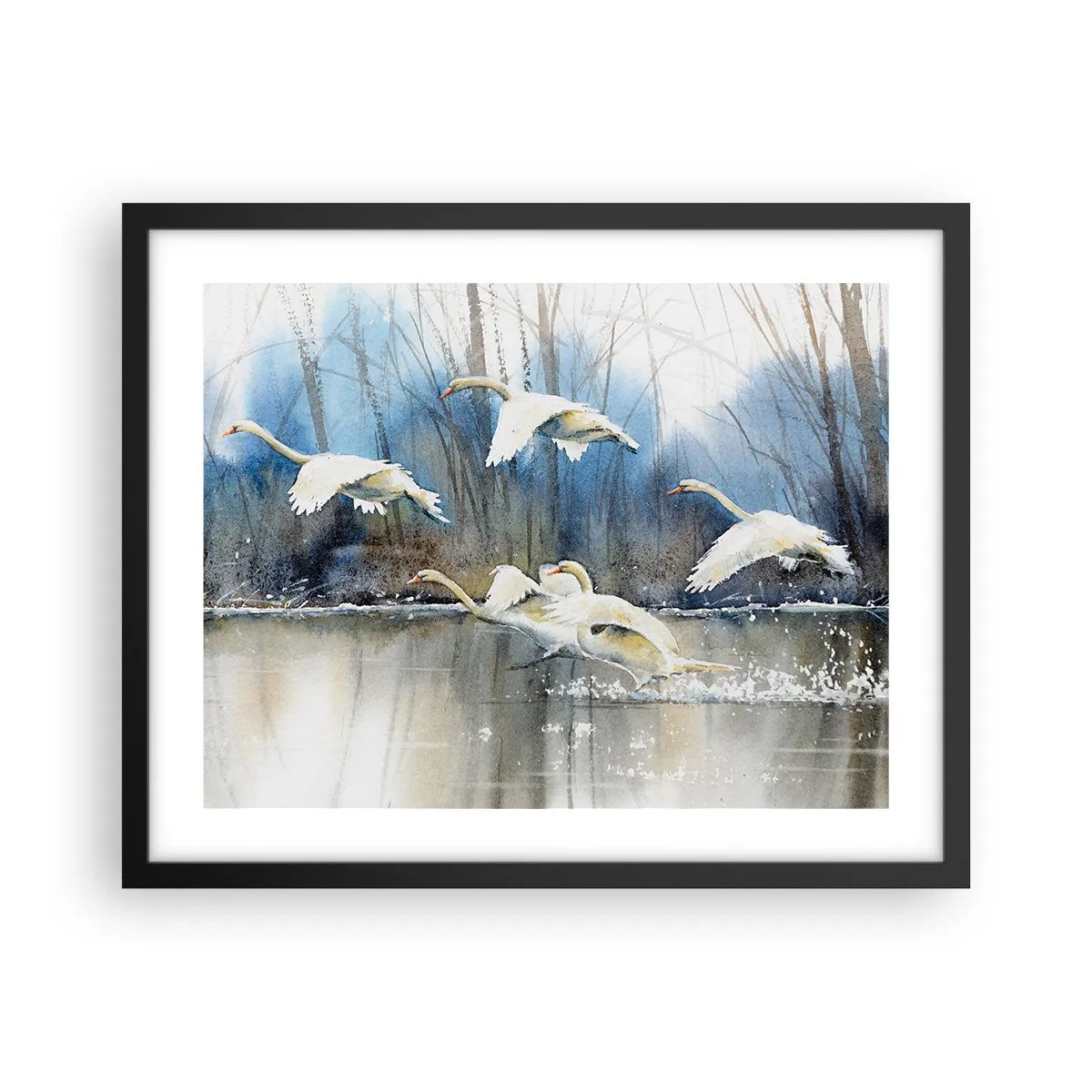 Poster in black frame - Like in a Fairy Tale about Wild Swans - 50x40 cm