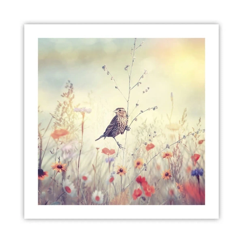 Poster - Bird Portrait with a Meadow in the Background - 50x50 cm