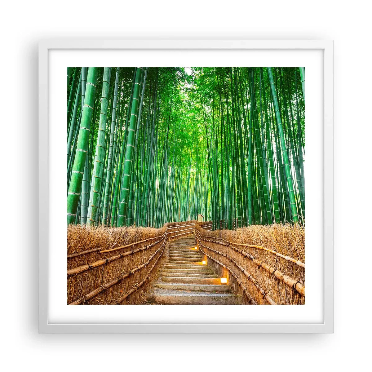 Poster in white frmae - Essence of Asian Nature - 50x50 cm