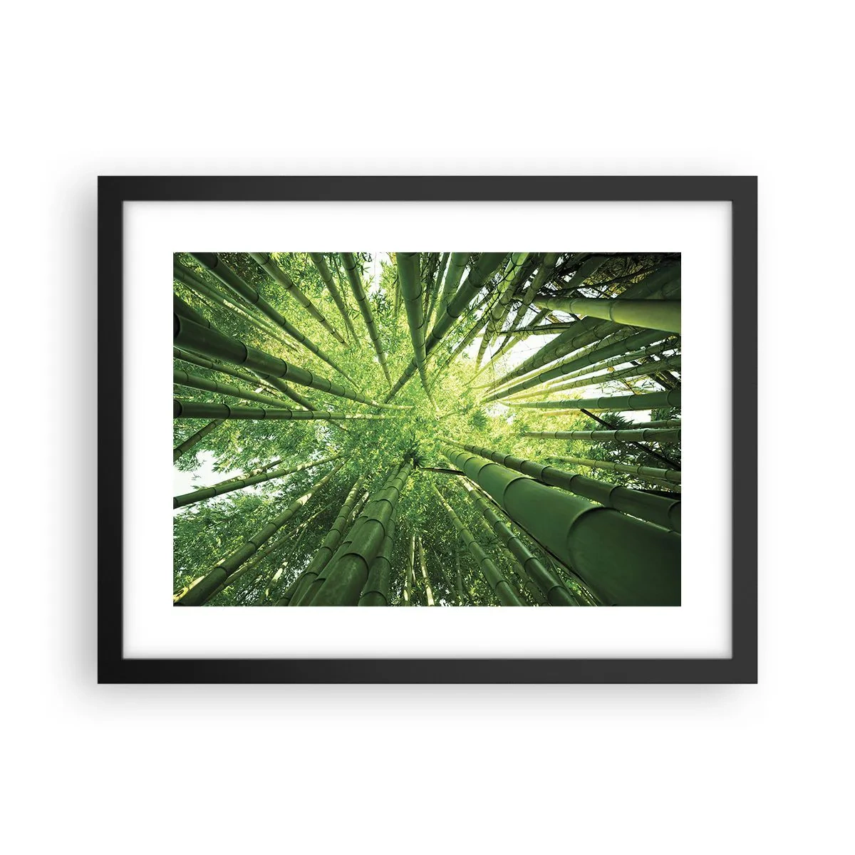 Poster in black frame - In a Bamboo Forest - 40x30 cm