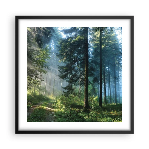 Poster in black frame - Radiant at Dawn - 50x50 cm