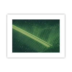 Poster - Structure of Green - 40x30 cm